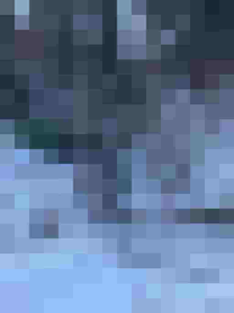 Gefällte Bäume und Äste am verschneiten Oberhausweg nach Einsatz der Feuerwehr Maishofen