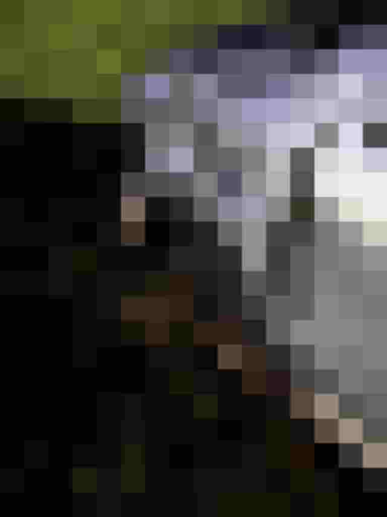 stark beschädigter silberner Pkw im Gras
