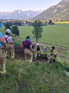 Feuerwehrleute löschen Flurbrand an Hang mit Bergkulisse im Hintergrund